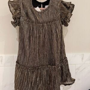 Gap Sparkling Dress- Perfect for Fall photos & Holidays
